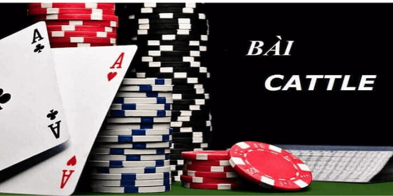 Mẹo đánh bài catte Giới thiệu tổng quan về mẹo đánh bài catte