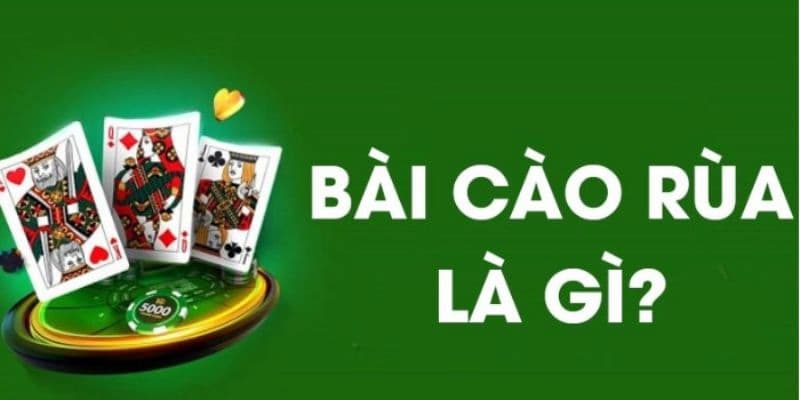Chiến thuật chơi bài cao rùa hiệu quả