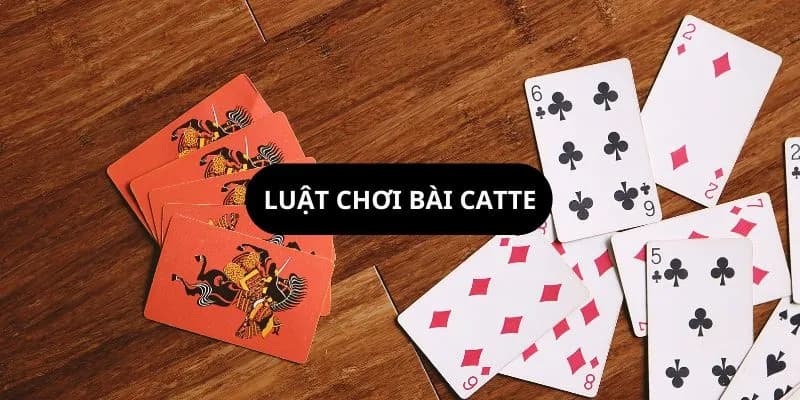 Chiến thuật chơi bài catte 6 lá