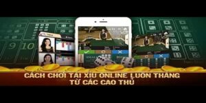 Câu bet tài xỉu