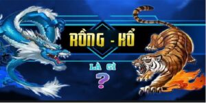 Hướng dẫn chơi rồng hổ