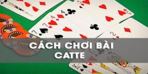 Bài catte 6 lá