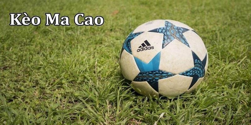 Tỷ lệ kèo ma cao