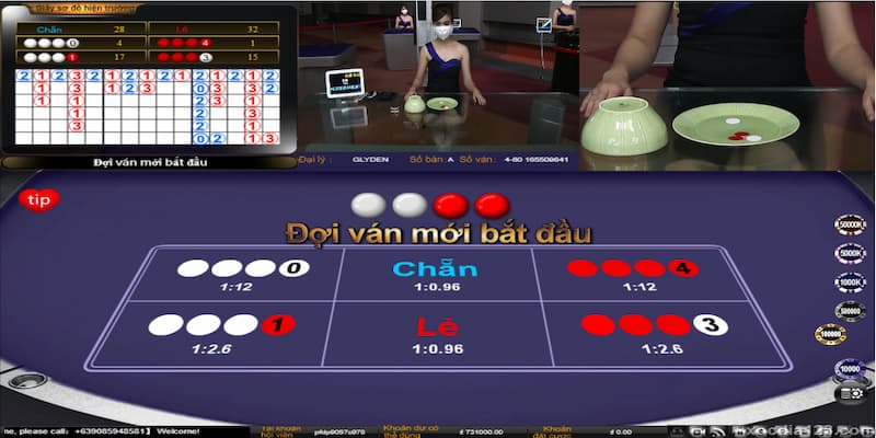 Tổng quan về cược chẵn lẻ trong tài xỉu Go88